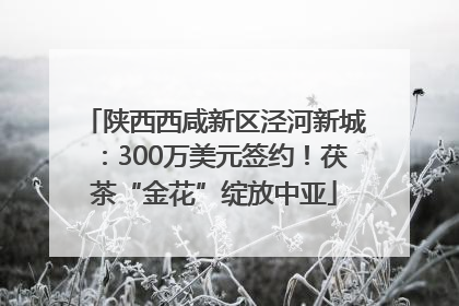 陕西西咸新区泾河新城：300万美元签约！茯茶“金花”绽放中亚