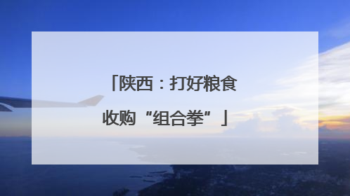 陕西：打好粮食收购“组合拳”