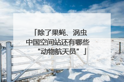 除了果蝇、涡虫 中国空间站还有哪些“动物航天员”