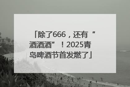 除了666，还有“酒酒酒”！2025青岛啤酒节首发燃了