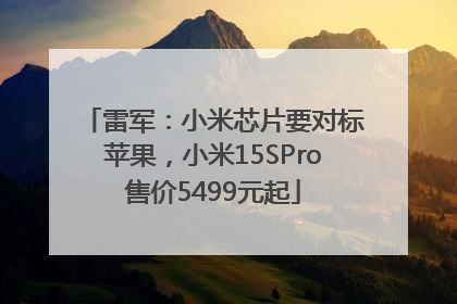 雷军：小米芯片要对标苹果，小米15SPro售价5499元起