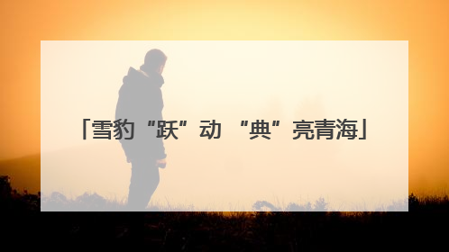 雪豹“跃”动 “典”亮青海