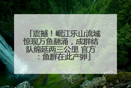 震撼！岷江乐山流域惊现万鱼翻涌，成群结队绵延两三公里 官方：鱼群在此产卵
