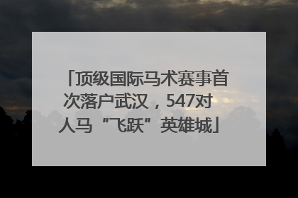 顶级国际马术赛事首次落户武汉，547对人马“飞跃”英雄城