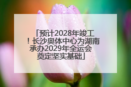 预计2028年竣工！长沙奥体中心为湖南承办2029年全运会奠定坚实基础
