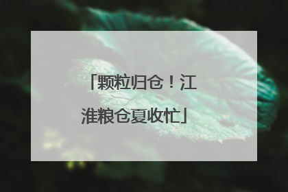 颗粒归仓！江淮粮仓夏收忙