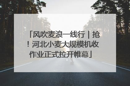 风吹麦浪一线行｜抢！河北小麦大规模机收作业正式拉开帷幕