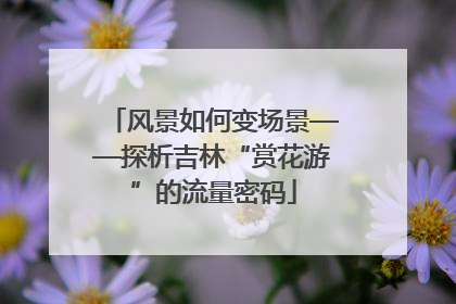 风景如何变场景——探析吉林“赏花游”的流量密码