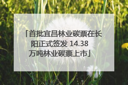 首批宜昌林业碳票在长阳正式签发 14.38万吨林业碳票上市