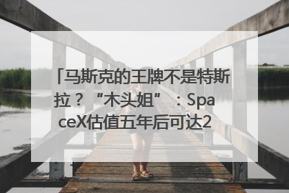 马斯克的王牌不是特斯拉？“木头姐”：SpaceX估值五年后可达2.5万亿美元！