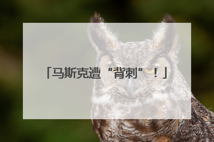 马斯克遭“背刺”！