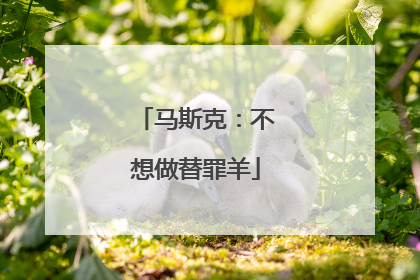 马斯克：不想做替罪羊