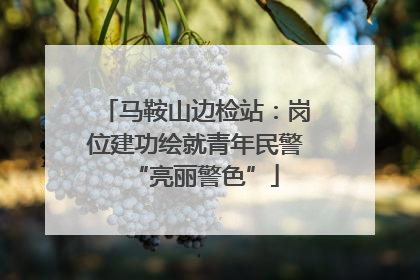 马鞍山边检站：岗位建功绘就青年民警“亮丽警色”