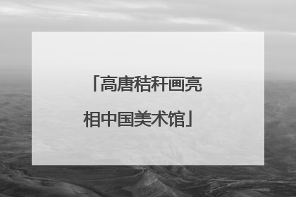 高唐秸秆画亮相中国美术馆