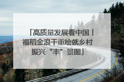 高质量发展看中国丨福稻金浪千重绘就乡村振兴“丰”景图