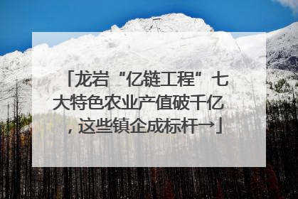 龙岩“亿链工程”七大特色农业产值破千亿，这些镇企成标杆→