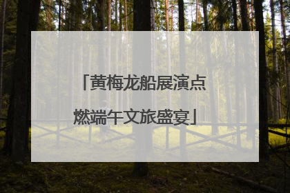 黄梅龙船展演点燃端午文旅盛宴