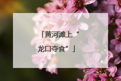 黄河滩上“龙口夺食”