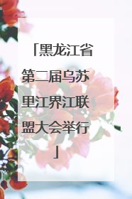 黑龙江省第二届乌苏里江界江联盟大会举行