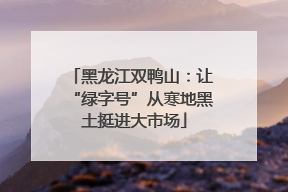 黑龙江双鸭山：让“绿字号”从寒地黑土挺进大市场