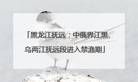 黑龙江抚远：中俄界江黑、乌两江抚远段进入禁渔期