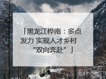 黑龙江桦南：多点发力 实现人才乡村“双向奔赴”