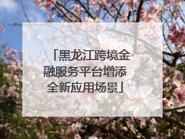 黑龙江跨境金融服务平台增添全新应用场景