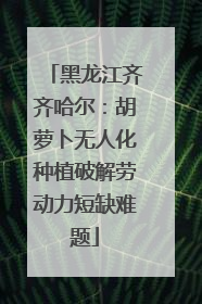 黑龙江齐齐哈尔：胡萝卜无人化种植破解劳动力短缺难题