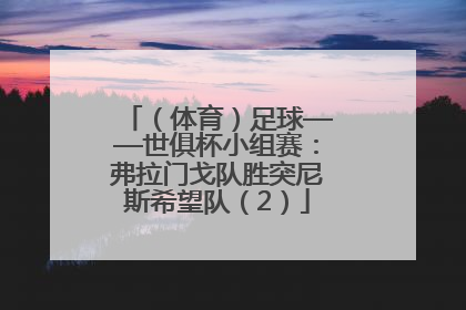 （体育）足球——世俱杯小组赛：弗拉门戈队胜突尼斯希望队（2）