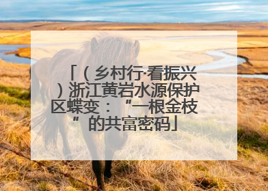 （乡村行·看振兴）浙江黄岩水源保护区蝶变：“一根金枝”的共富密码