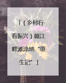 （乡村行·看振兴）赣江畔滩涂地“重生记”