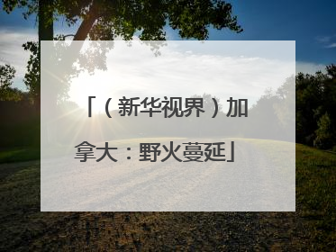 （新华视界）加拿大：野火蔓延
