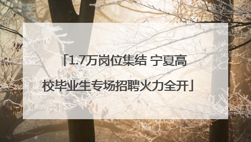 1.7万岗位集结 宁夏高校毕业生专场招聘火力全开