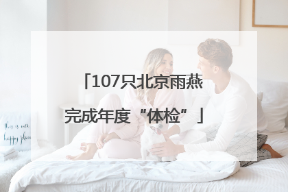 107只北京雨燕完成年度“体检”