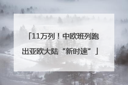 11万列！中欧班列跑出亚欧大陆“新时速”