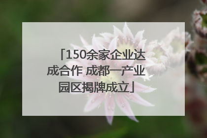 150余家企业达成合作 成都一产业园区揭牌成立