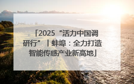 2025“活力中国调研行”丨蚌埠：全力打造智能传感产业新高地