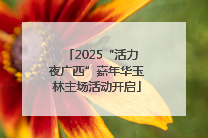2025“活力夜广西”嘉年华玉林主场活动开启