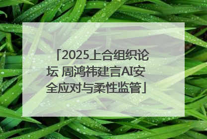 2025上合组织论坛 周鸿祎建言AI安全应对与柔性监管