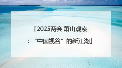 2025两会·萧山观察：“中国视谷”的新江湖