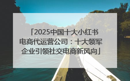 2025中国十大小红书电商代运营公司：十大领军企业引领社交电商新风向