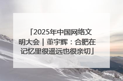 2025年中国网络文明大会｜董宇辉：合肥在记忆里很遥远也很亲切