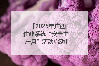 2025年广西住建系统“安全生产月”活动启动