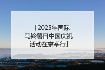2025年国际马铃薯日中国庆祝活动在京举行