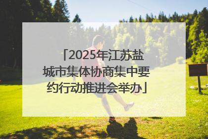 2025年江苏盐城市集体协商集中要约行动推进会举办
