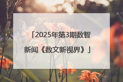 2025年第3期数智新闻《数文新视界》