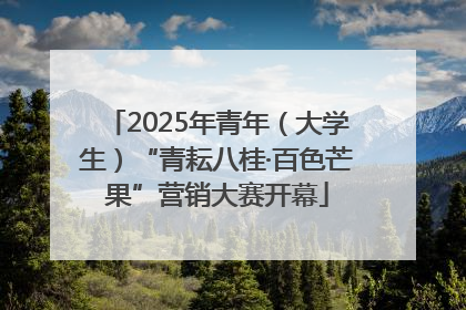 2025年青年（大学生）“青耘八桂·百色芒果”营销大赛开幕