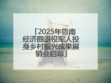 2025年鲁南经济圈退役军人投身乡村振兴成果展销会启幕