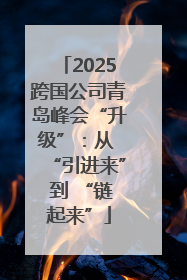 2025跨国公司青岛峰会“升级”：从 “引进来” 到 “链起来”