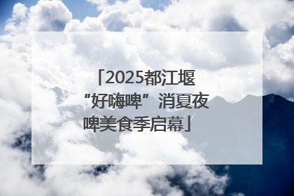 2025都江堰“好嗨啤”消夏夜啤美食季启幕